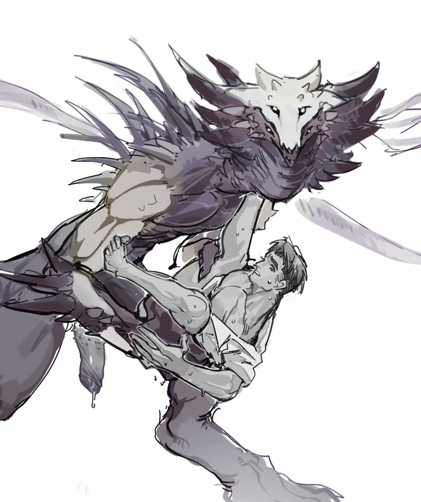 小小鵟 tweet media