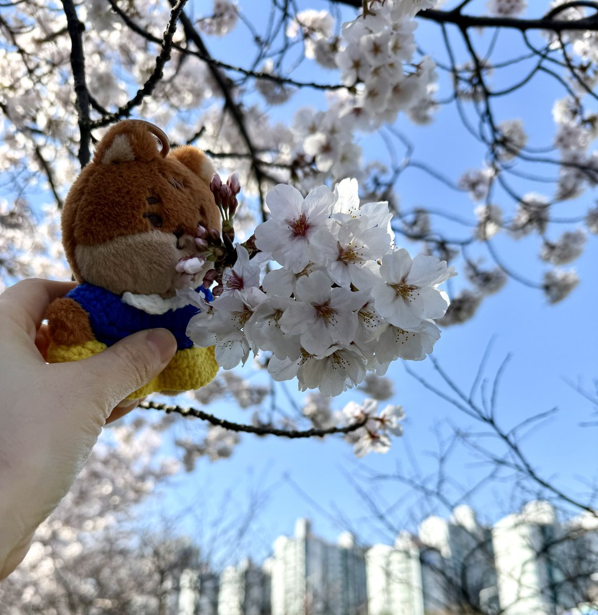 도라ෆ⸒⸒ tweet media