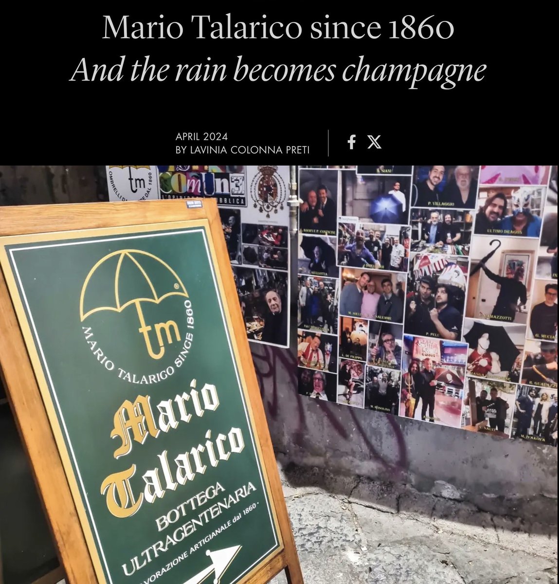 mjviolet tweet media