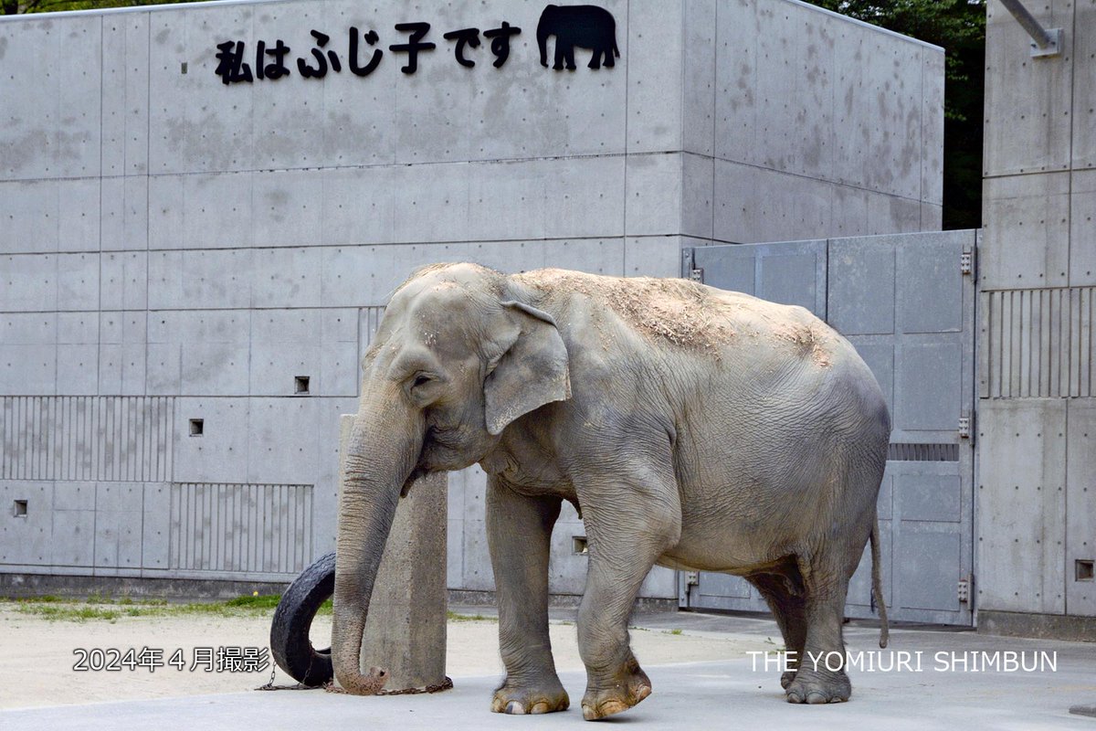 読売新聞中部支社編集センター tweet media