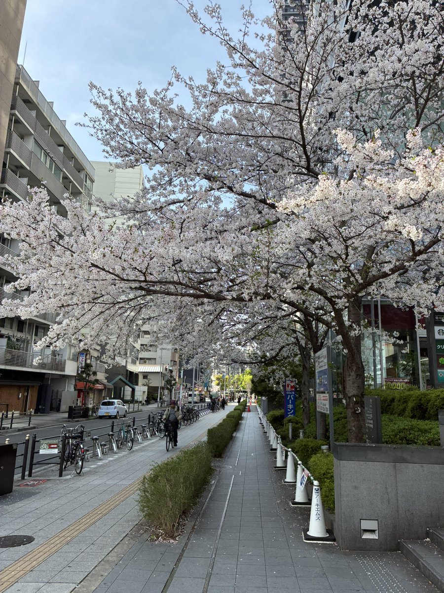 佐藤トシオ tweet media