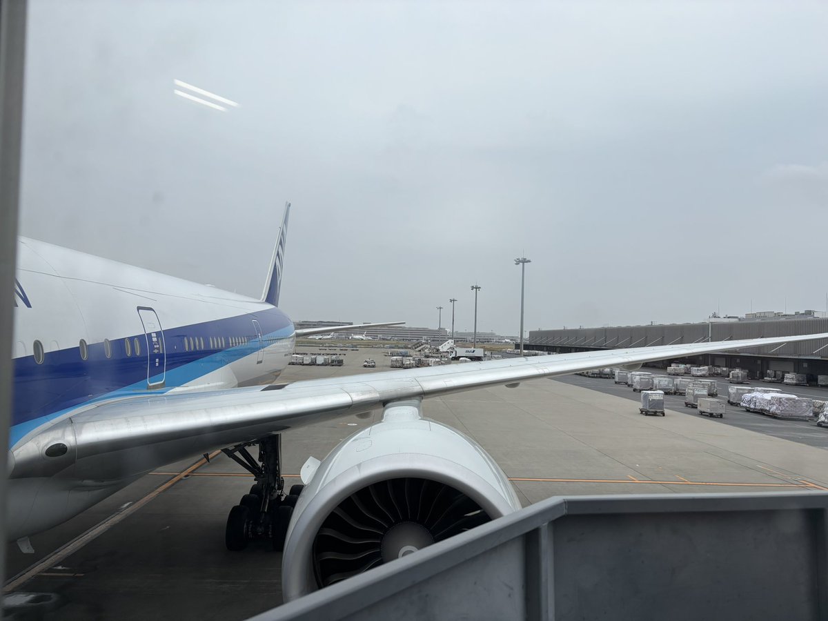 Satoki@Kn0wl3dg3 tweet media