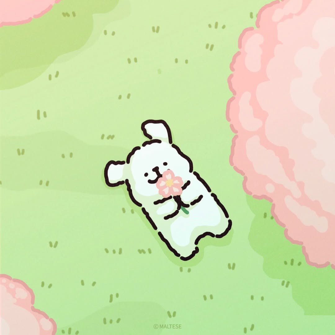 モルチーズ【公式】 tweet media