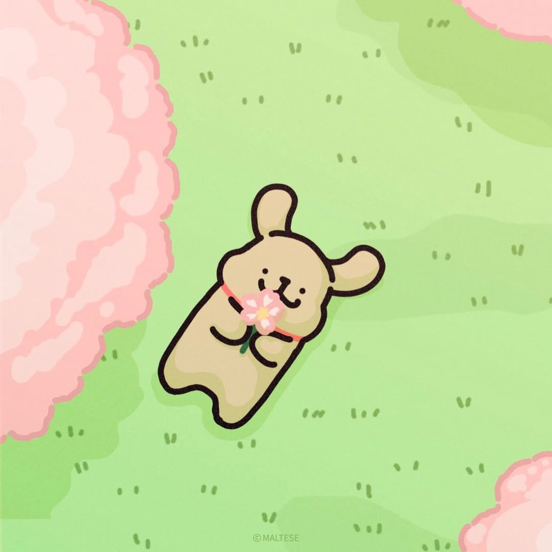 モルチーズ【公式】 tweet media