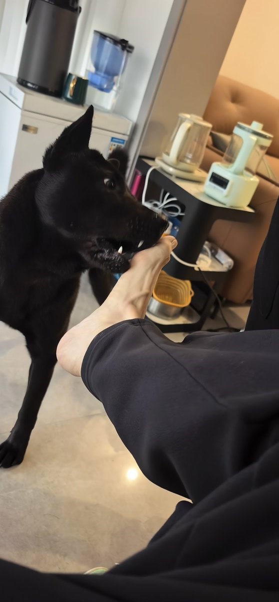 月正亦邪 tweet media