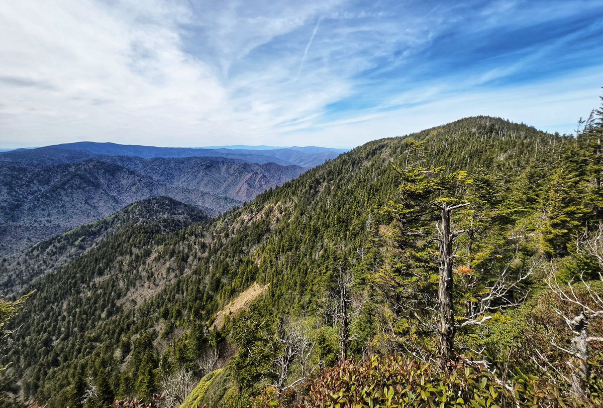 EastTNHiking's tweet image. Leconte summit viewed from Myrtle Point. #GSMNP #Smokies