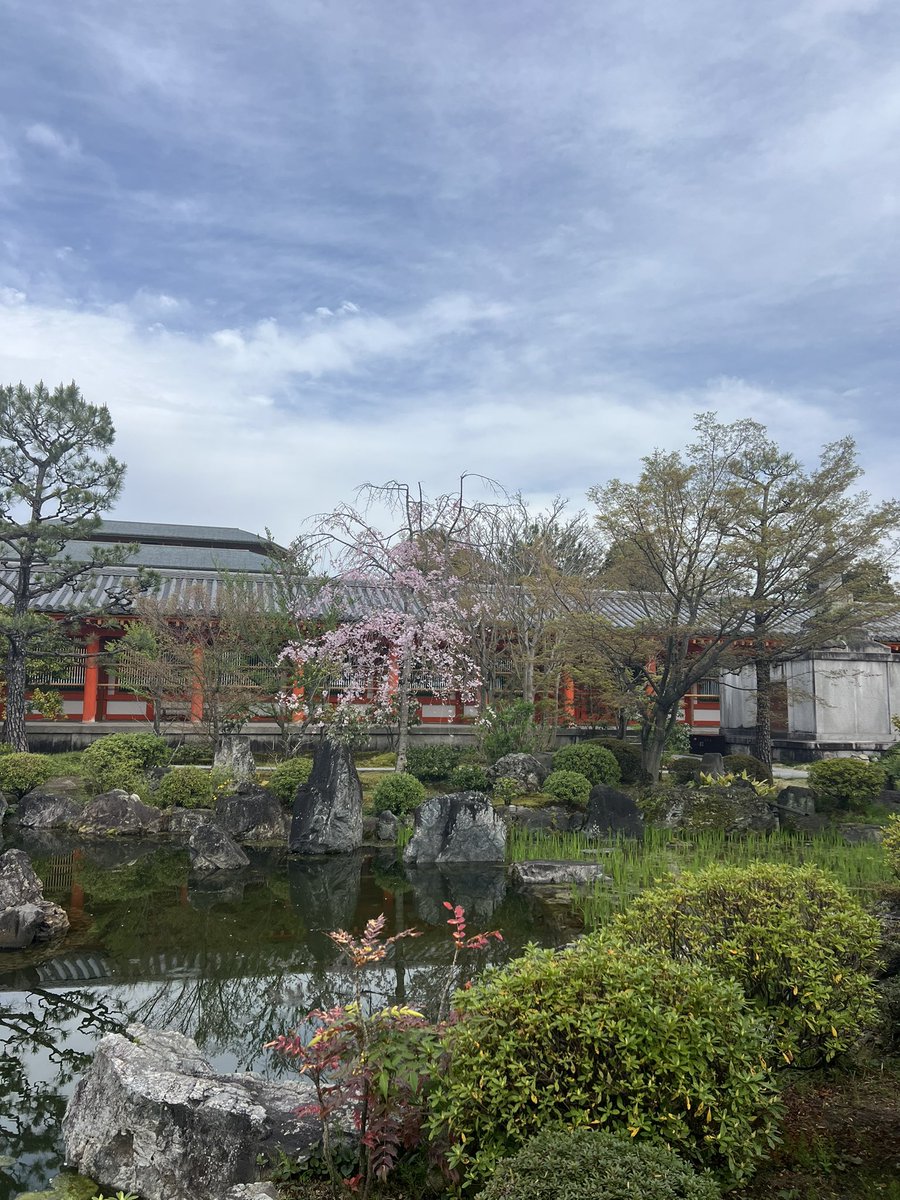 岩本えり tweet media