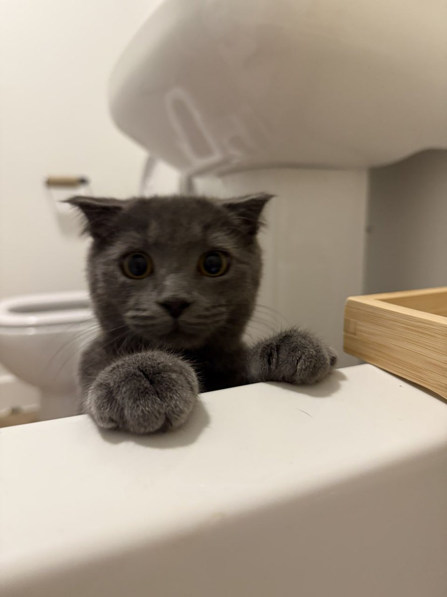 𝓐𝓷𝓷𝓪𝓫𝓮𝓵𝓵𝓪 tweet media