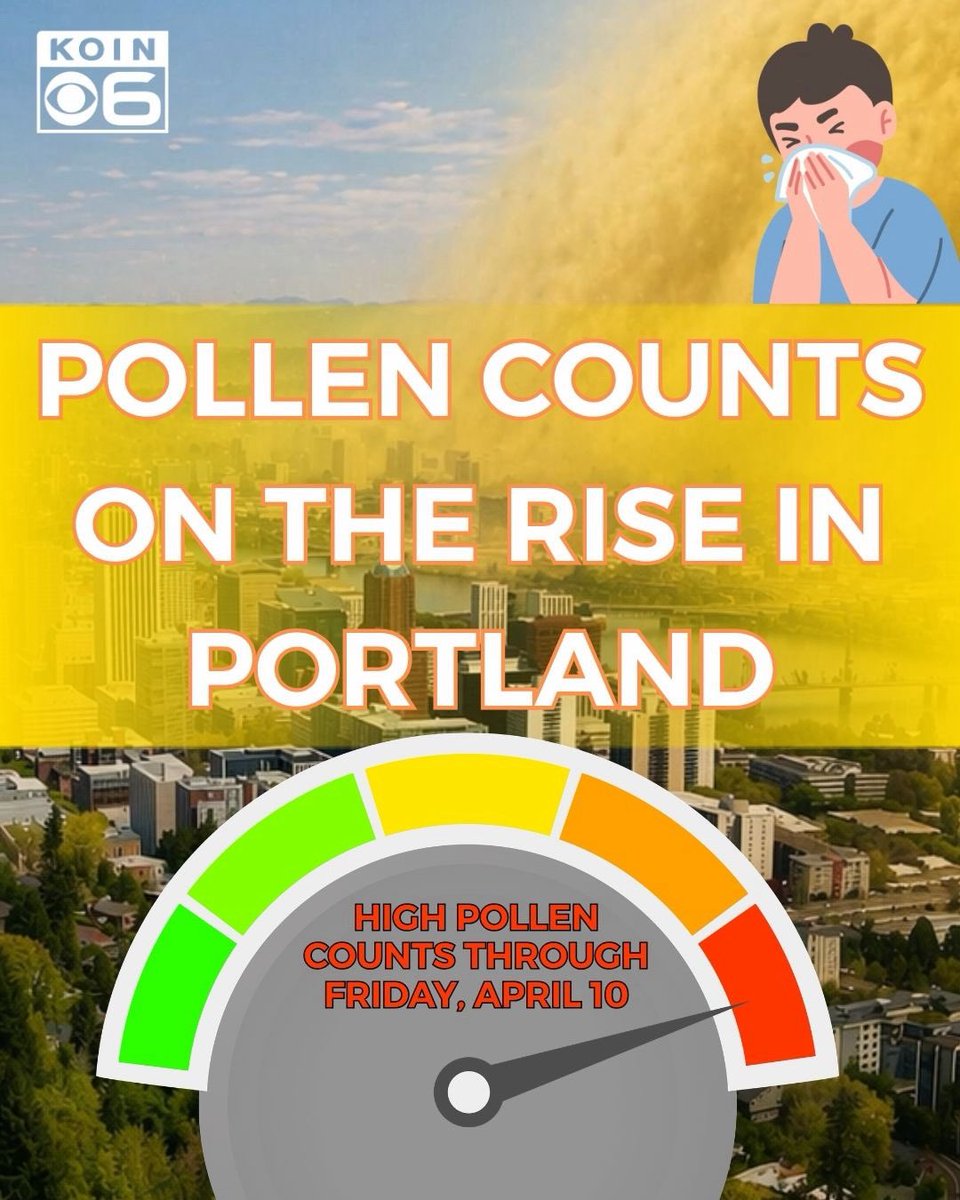 JoshCozartWx's tweet image. Got allergies? I know I do and I’ve been feeling them this week. 
Details: koin.com/weather/got-al…
#Portland