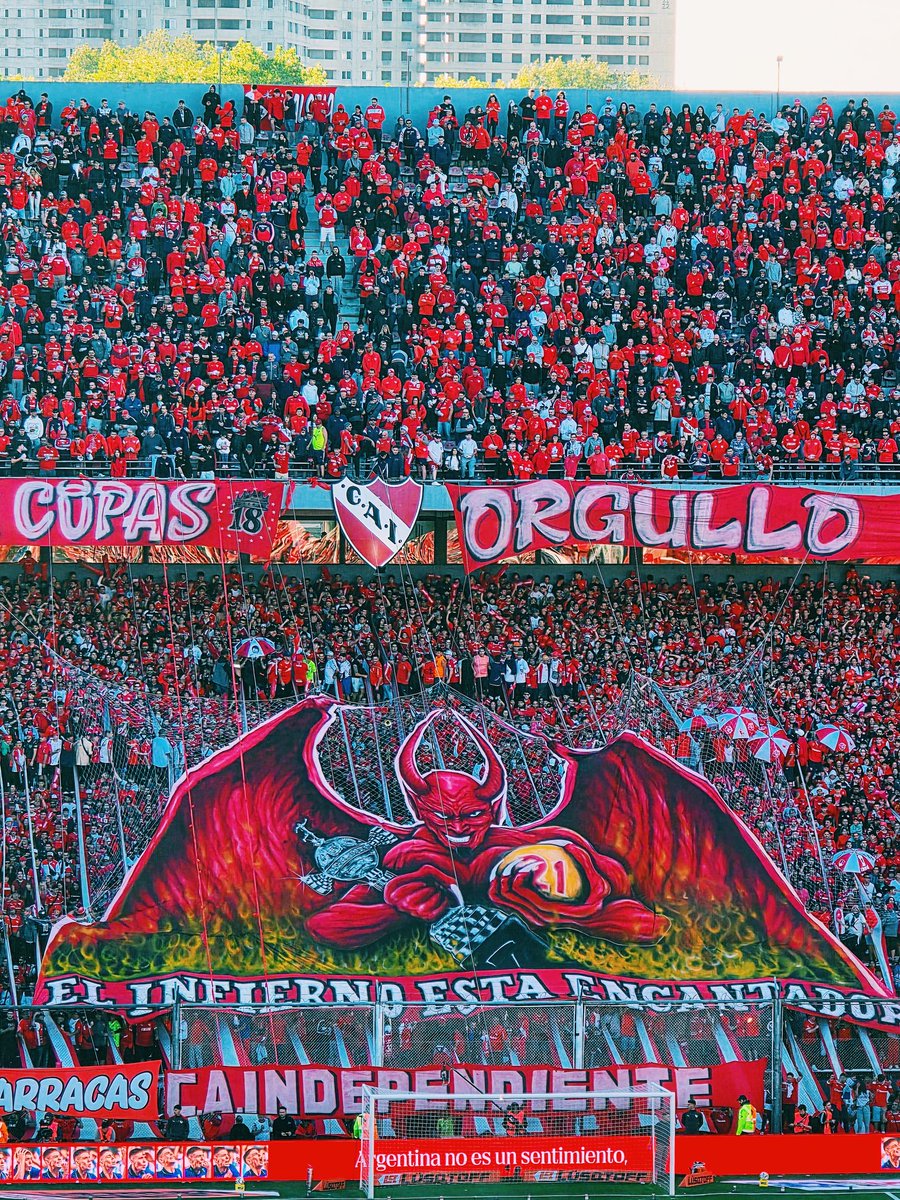 мαятιη tweet media