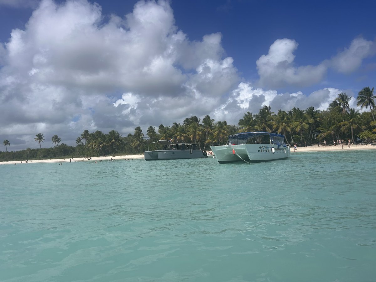 Jose Fernandez 💎 tweet media