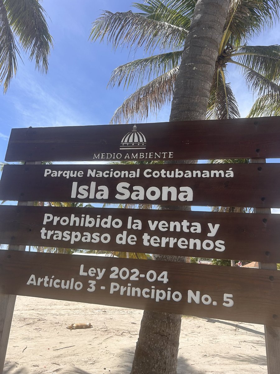 Jose Fernandez 💎 tweet media