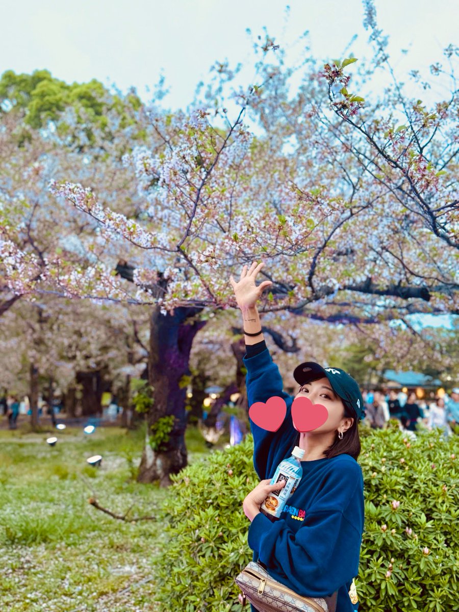 urame221's tweet photo. 昨日の鶴舞公園はもうほとんど葉桜でした https://t.co/0JDN6B2ACe
