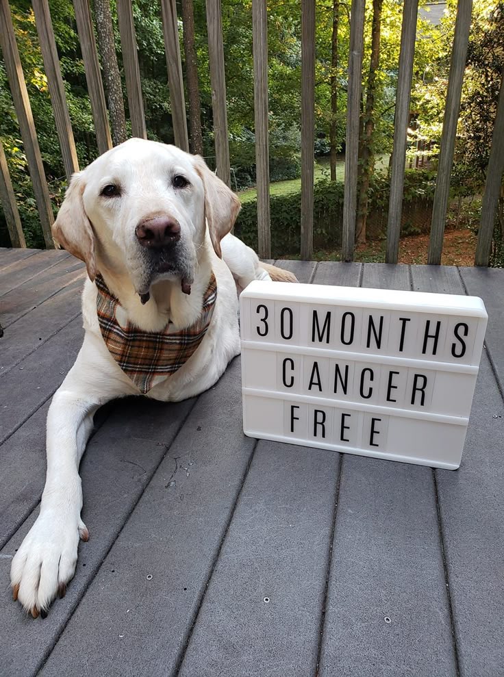 Benazir Bhutto (@benazir67491) on Twitter photo 