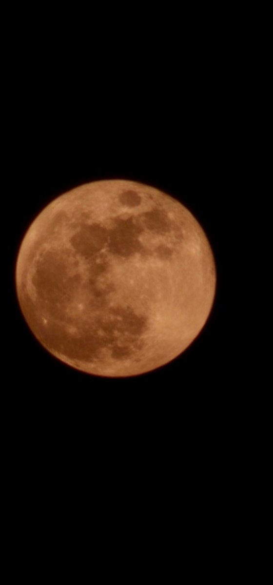 NLB2S's tweet photo. @Mutuabrian_M @NASA Same https://t.co/MUlcmuEKVj