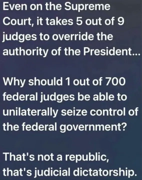 wolf_patriot737 tweet media