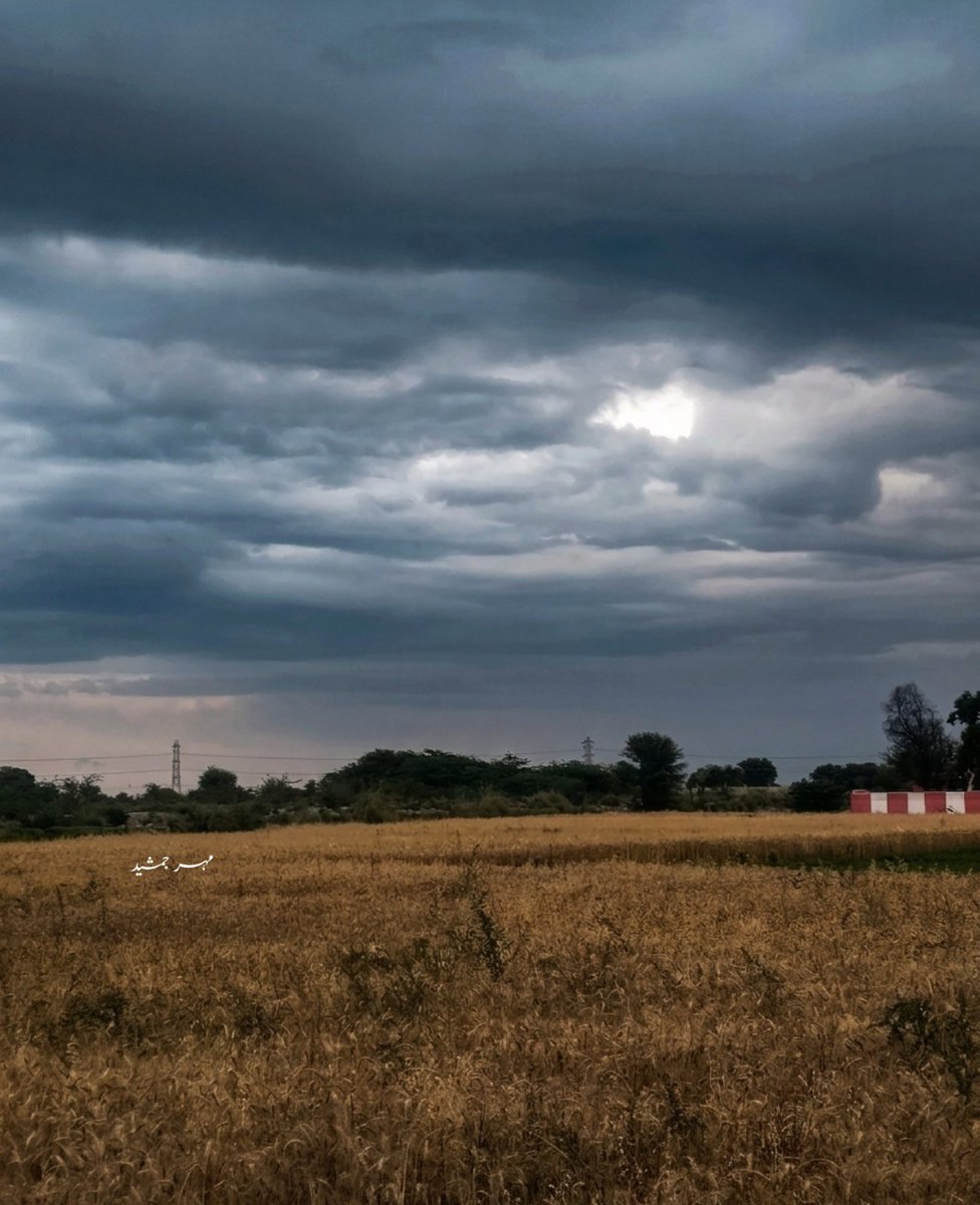 اردو ورثہ tweet media