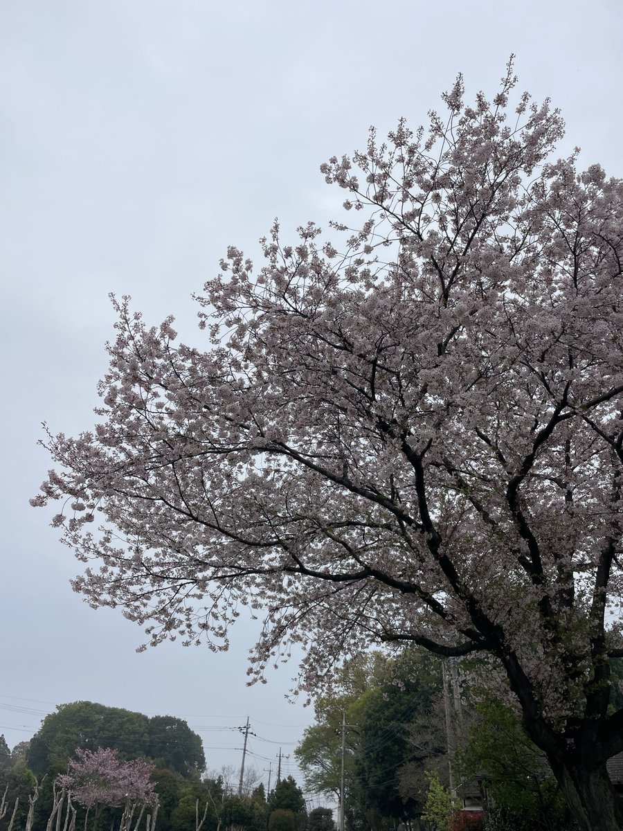 DaISUKE  DARK  SIDE tweet media