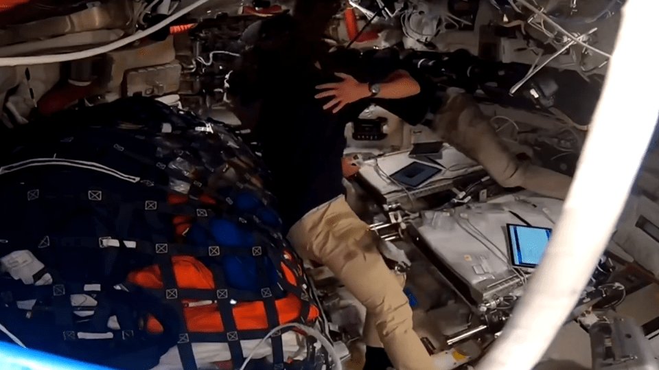 starpilled_'s tweet photo. when they love you so much, they put you on the moon. every night when you come back home, you'll look up and you'll see her. oh artemis ii crew https://t.co/oWvHdRaZgn