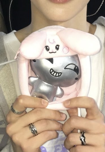 천미새 tweet media