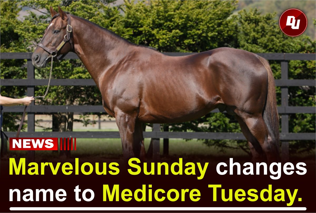 DiscussingUma's tweet image. Marvelous Sunday has officially changed her name to Mediocre Tuesday 

Source: @Pontifex