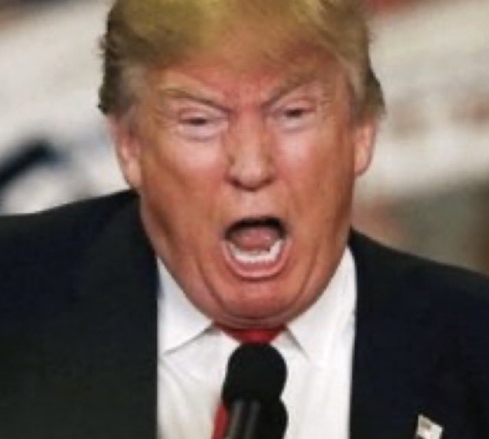 Mark 🍁 tweet media