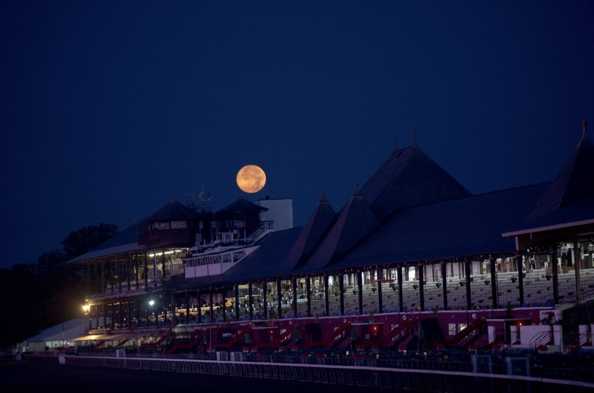 NYRA (🗽) tweet media