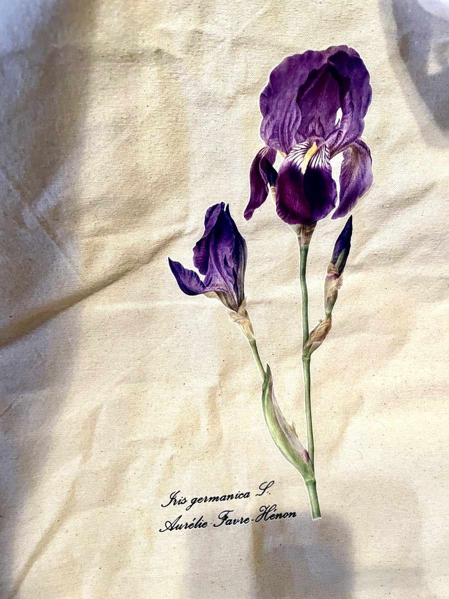 Wednesday GenericPanic tweet media