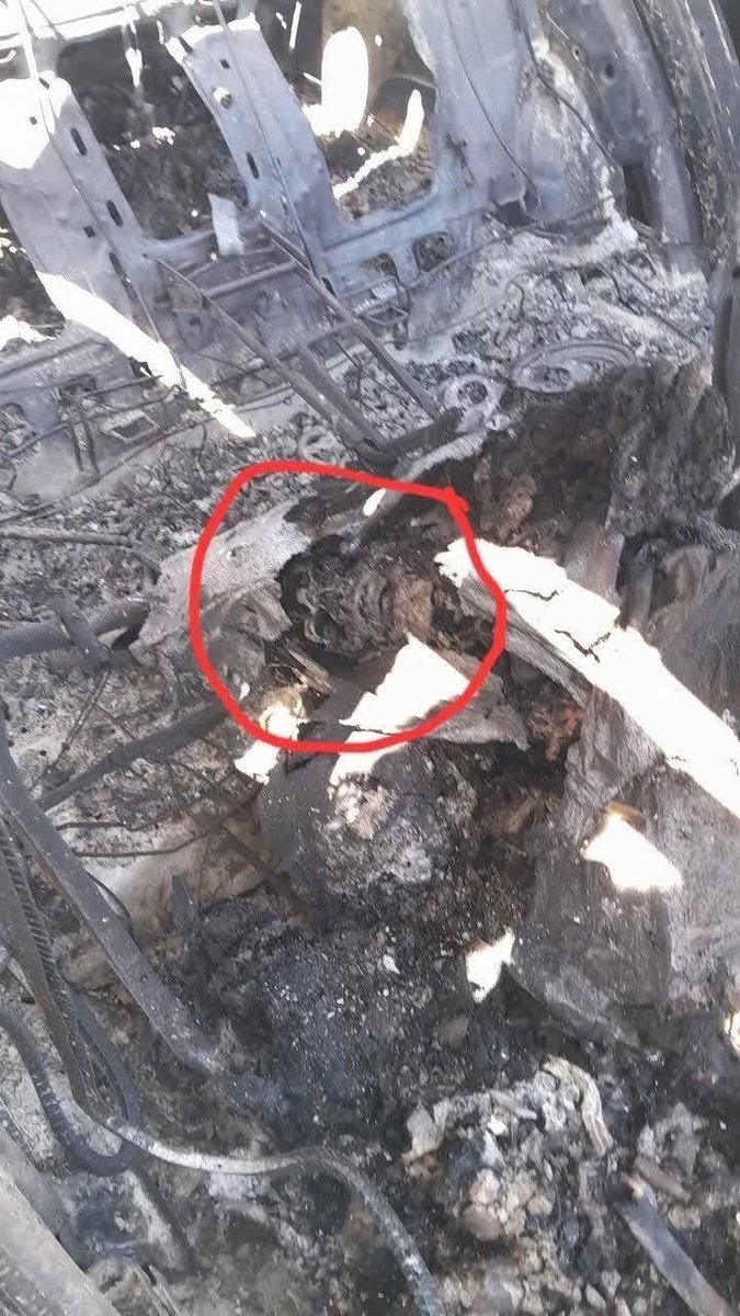 DeepRedGal's tweet photo. @DeuceoutB @pati_marins64 @barnes_law Really? So whose skull is this? https://t.co/tVZw1et4o5
