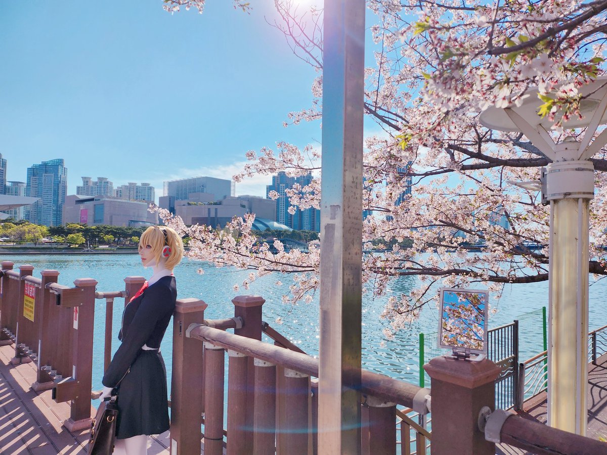 티슈몬 tweet media