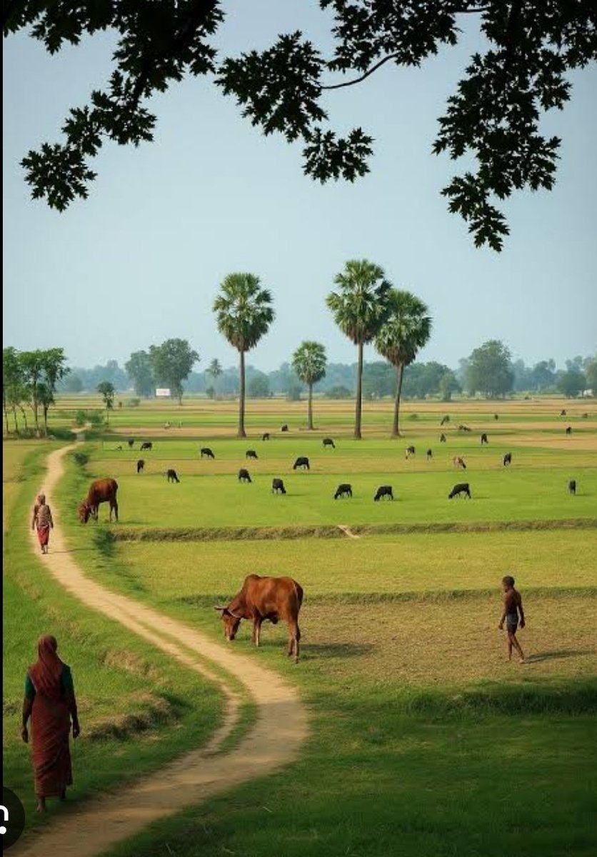 Kalpna Maurya tweet media