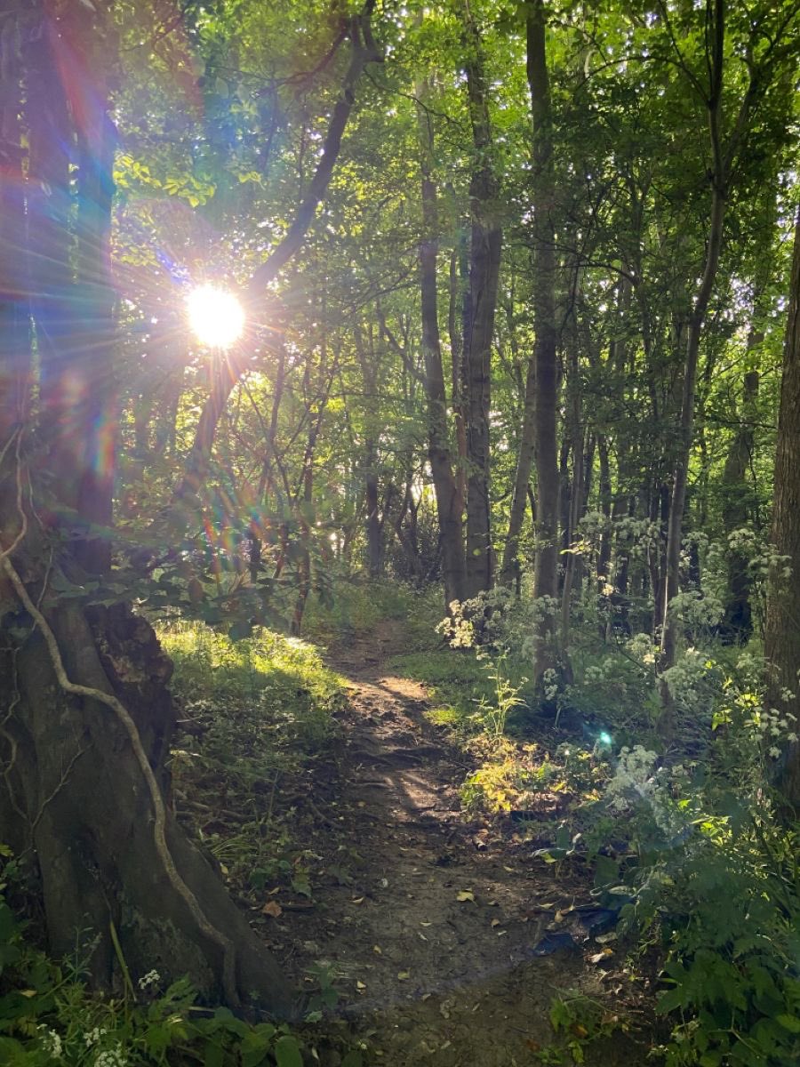 lydia ∘˙ ✶ tweet media