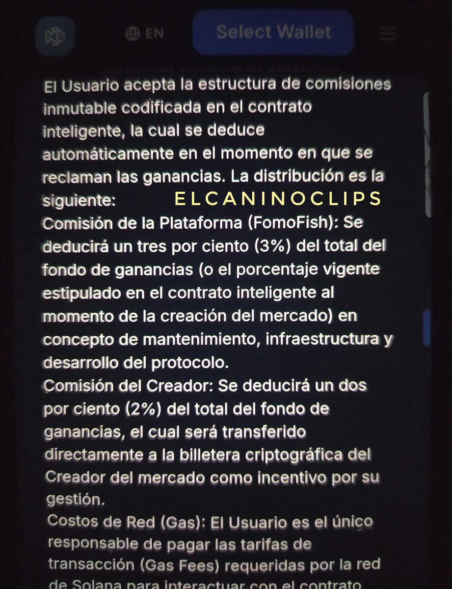 ⌞𝐑𝐞𝐤𝐢 RMA⌝ 🌱 tweet media