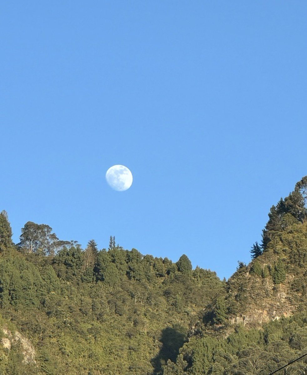 Israel Saiz tweet media