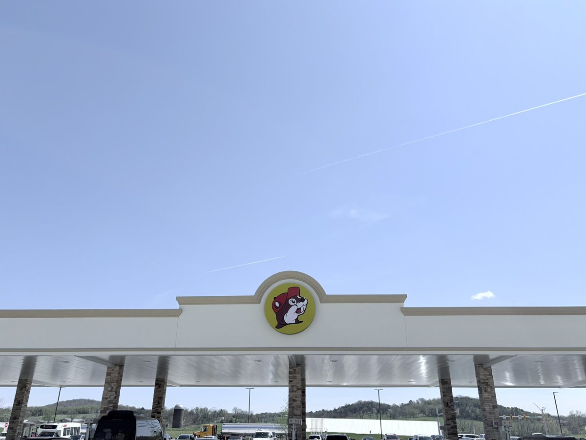 Shane Cashman tweet media