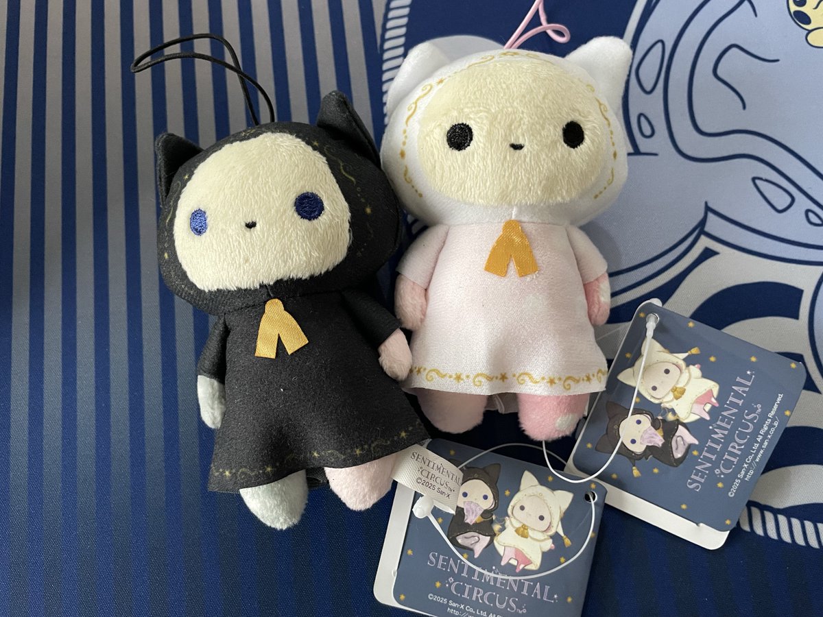 ねす🍭（nes） tweet media