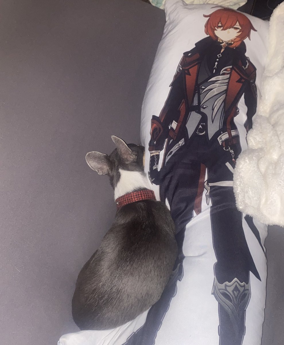 marciih | diluc charts tweet media