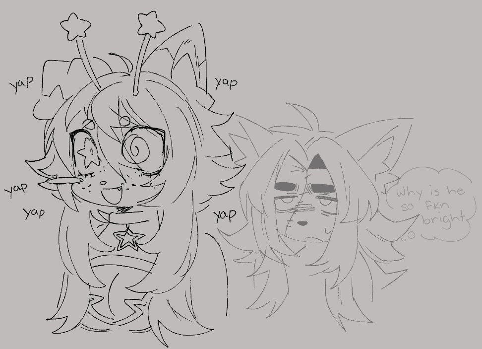 milo 🐒🏴‍☠️ tweet media