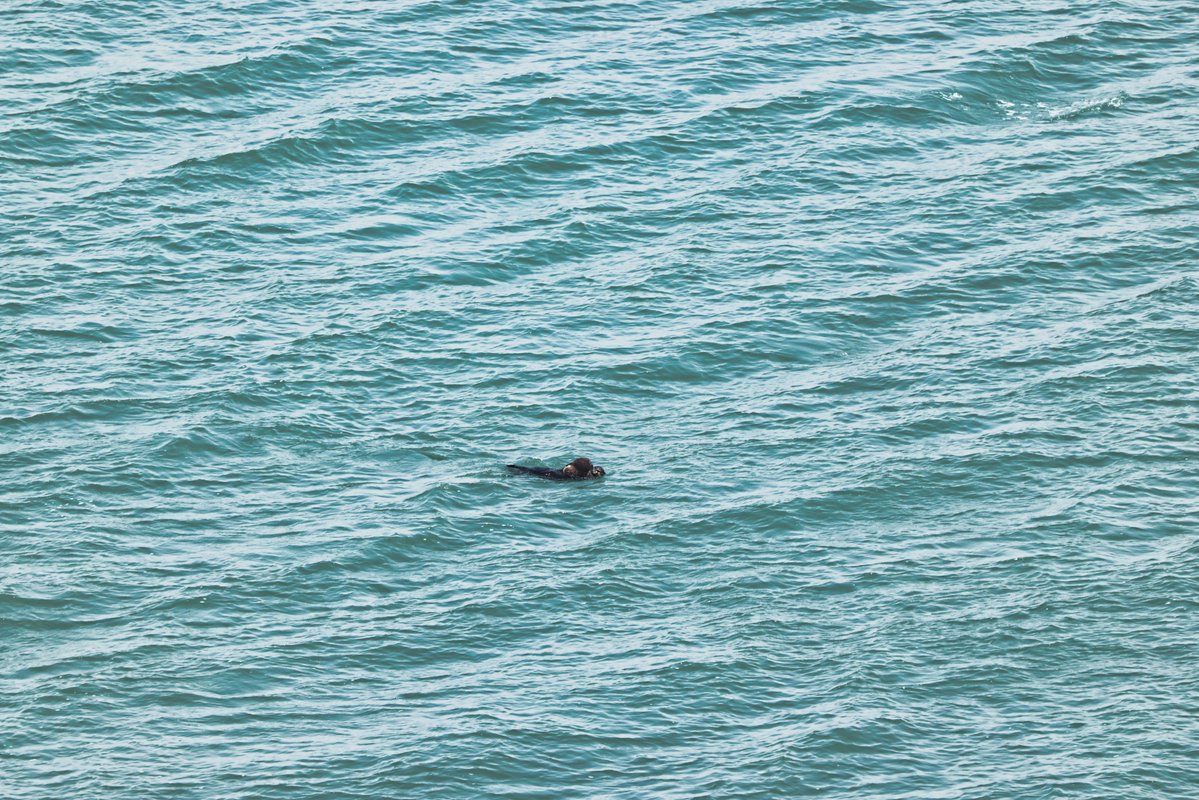 温根湯温泉の人♨️ tweet media