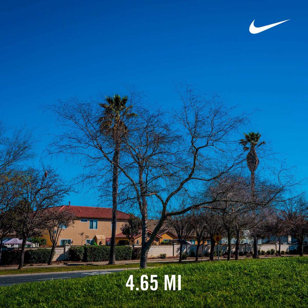 bigperm1974's tweet image. #nikerunclub #nikefuel #nrc #salinasrunclub @stigma.wellness   @rhc.monterey