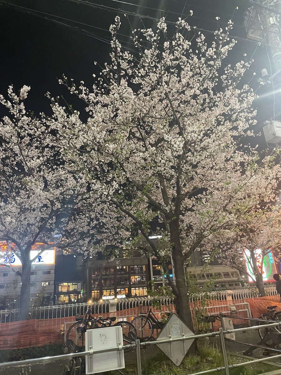 夜の友達💕らむ tweet media