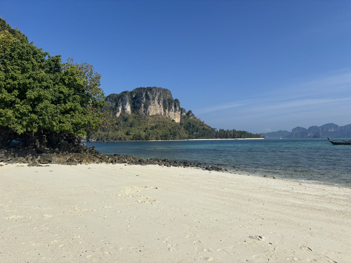 แมวดำมีโชค(4) Midnight tweet media