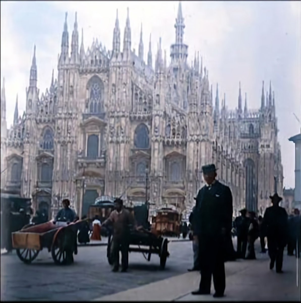 𝐏𝐇𝐎𝐄𝐍𝐈𝐗🐦‍🔥𝐃𝐑𝐀𝐆𝐎𝐍 tweet media