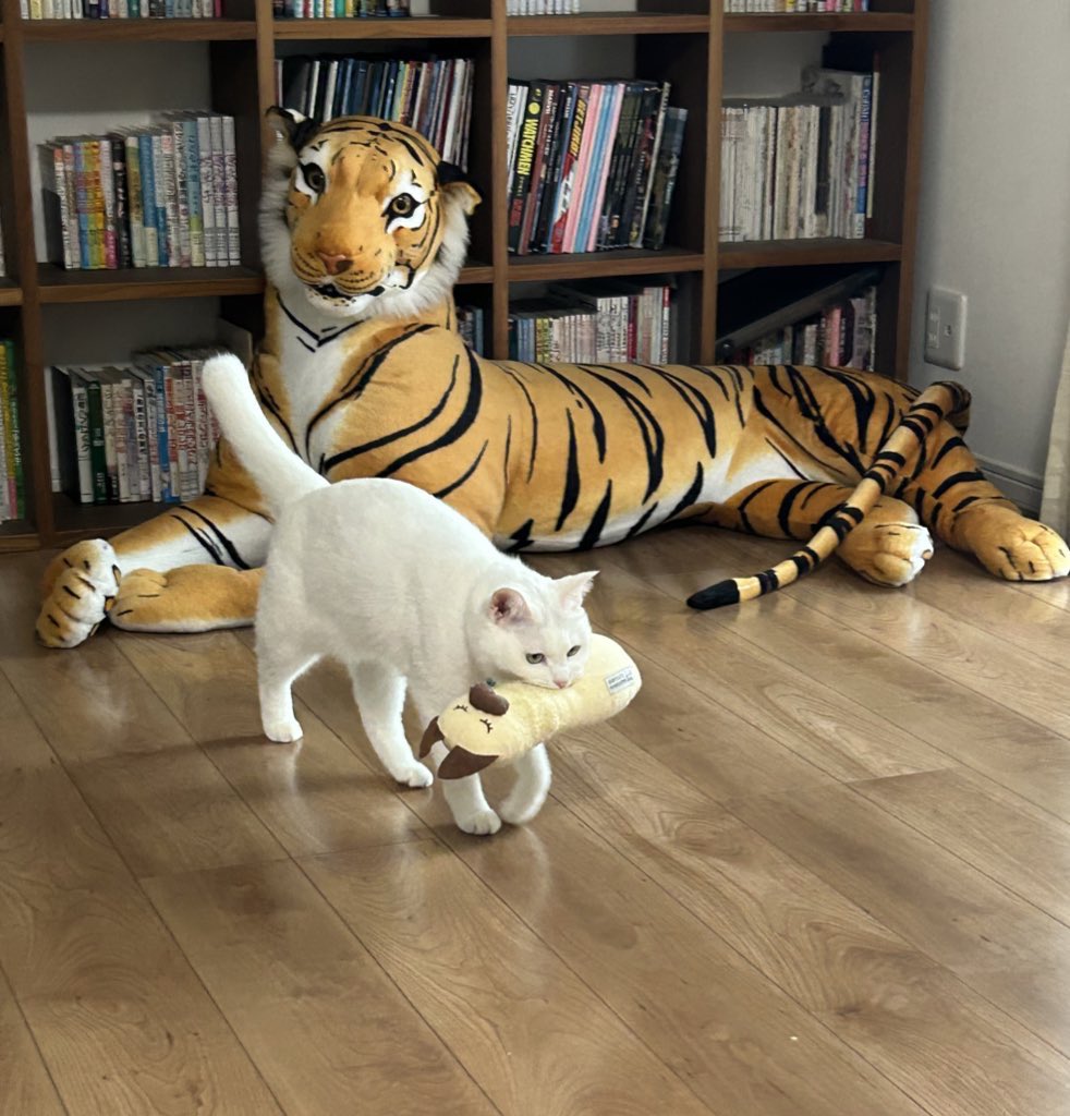 アクト tweet media