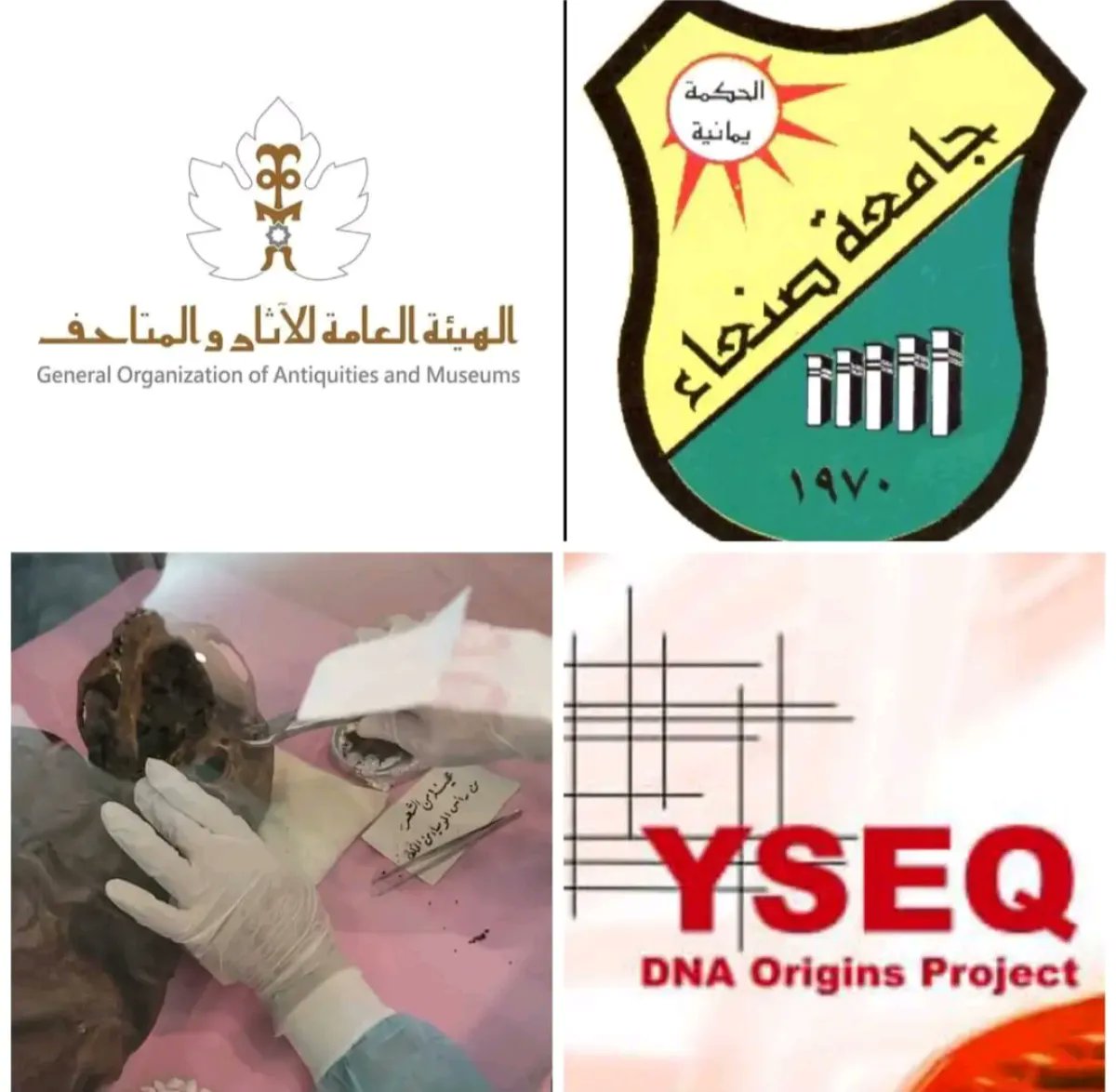 مستقعد tweet media