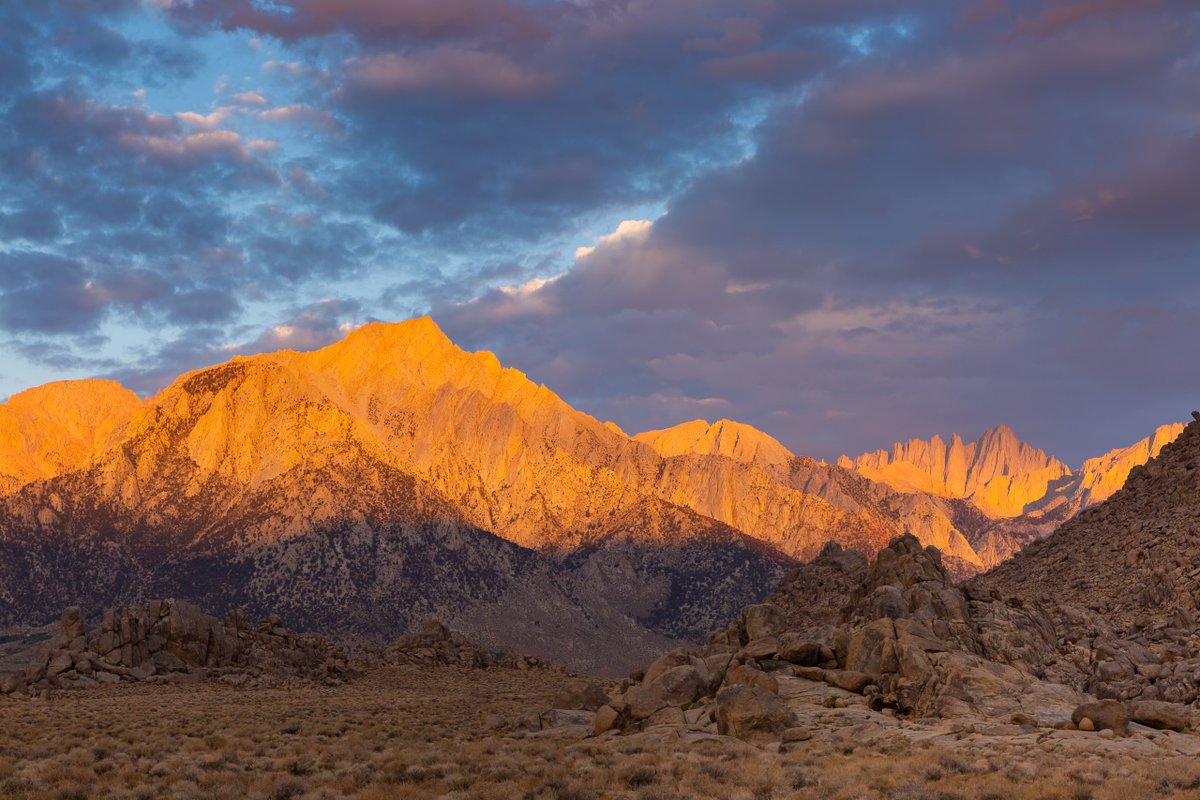 Stephen Diephuis tweet media