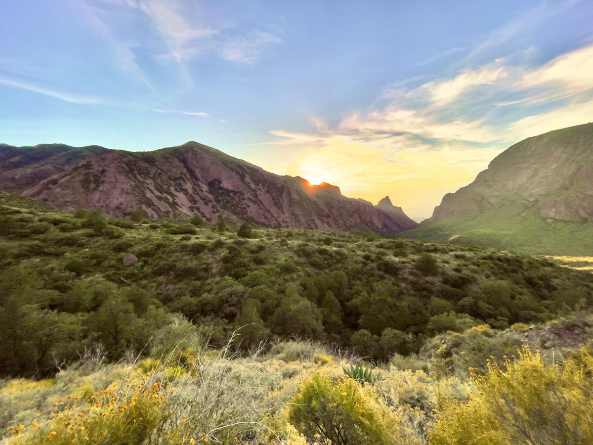 Rancher Dustin 𓃒 tweet media