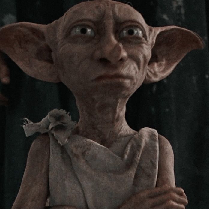 acervo dobby tweet media