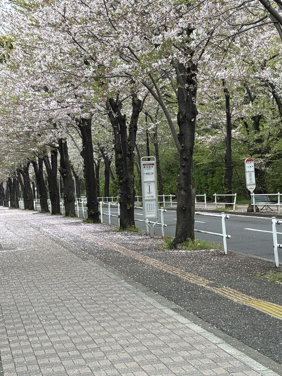 西川伸一 tweet media