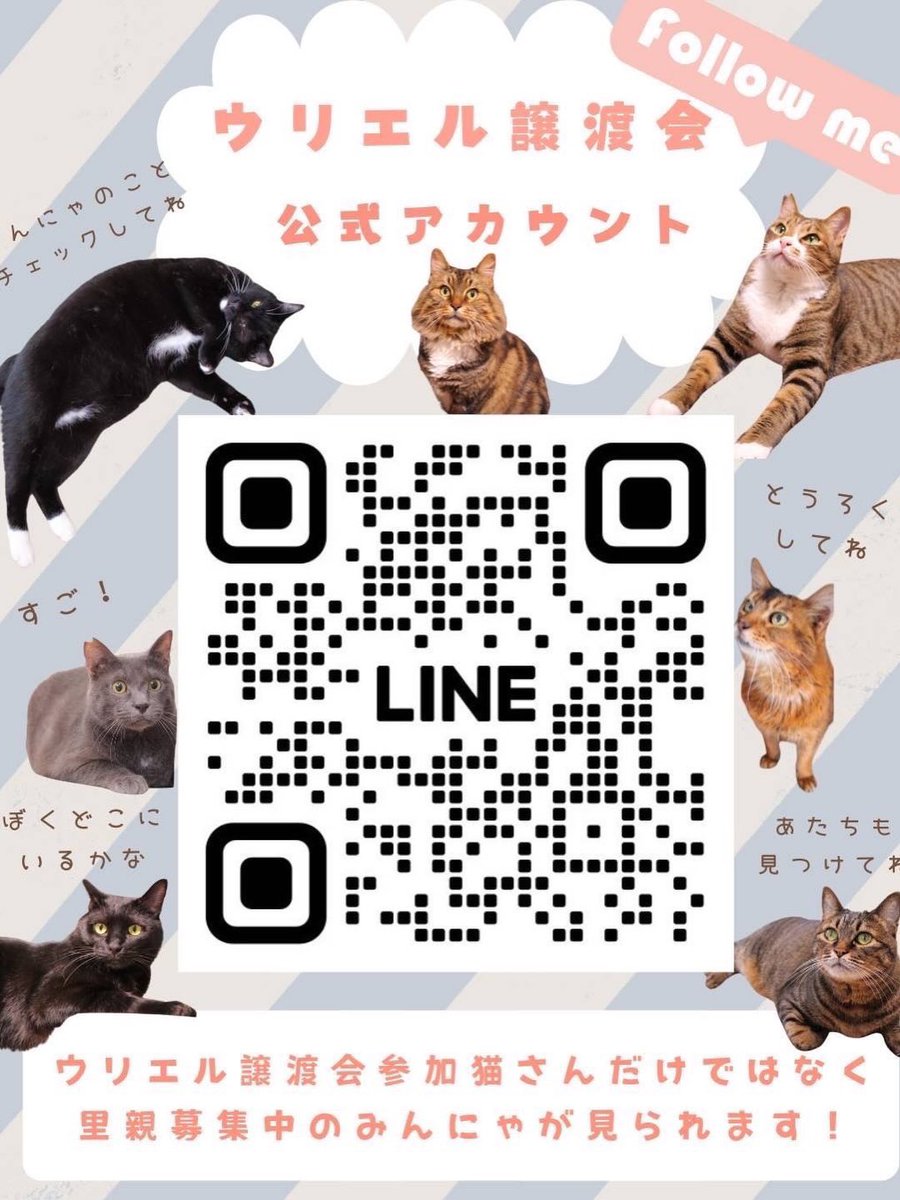 ウリエル里親募集 tweet media